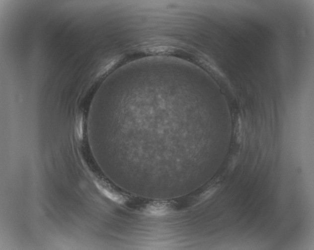 X0000080680076200612151234
