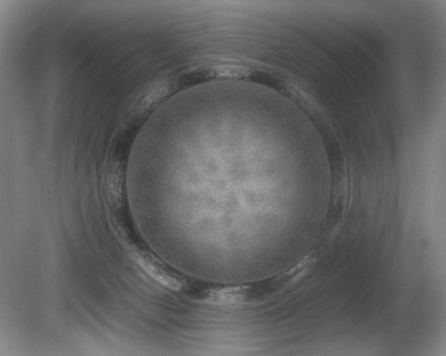X0000080680078200612151234
