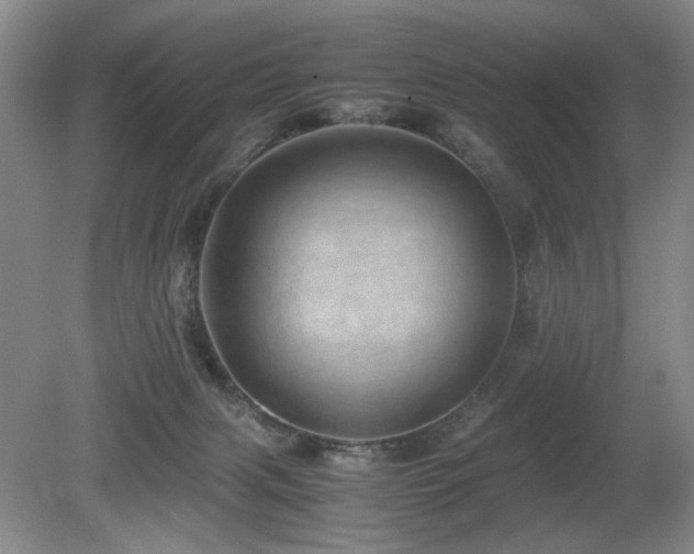 X0000080680079200612151234