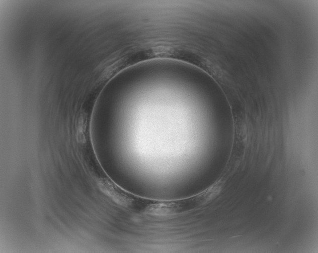 X0000080680082200612151234