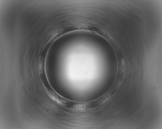 X0000080680084200612151234