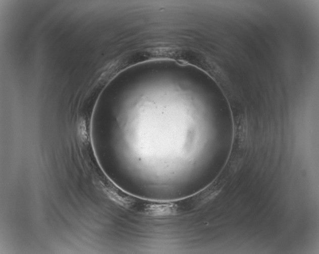 X0000080680089200612151234