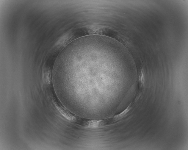 X0000080680090200612151234
