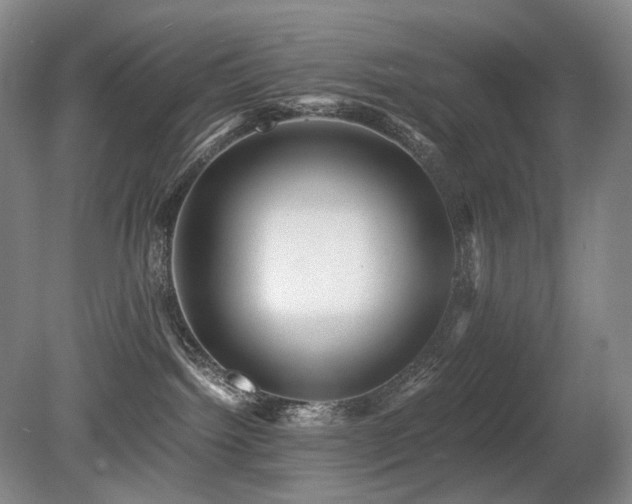 X0000080680092200612151234