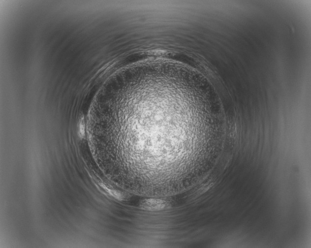 X0000080680095200612151234