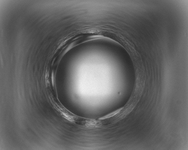 X0000080680096200612151234