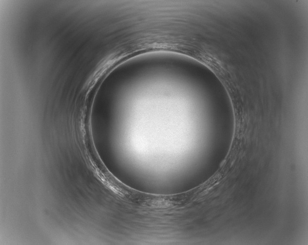 X0000080680098200612151233