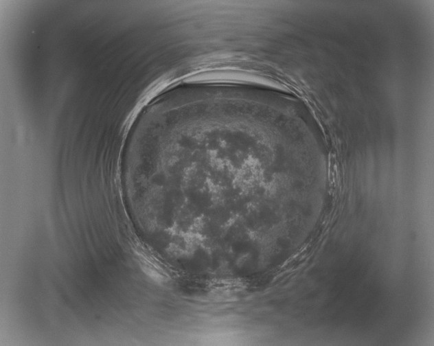 X0000080680099200612151233
