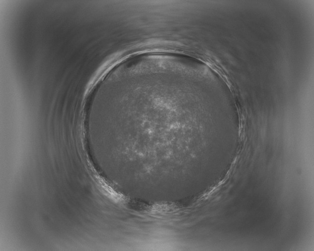 X0000080680101200612151233