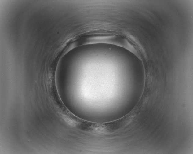 X0000080680113200612151233