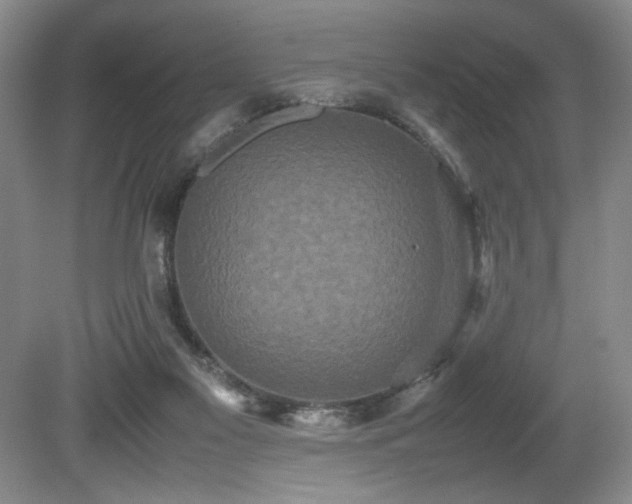 X0000080680117200612151233