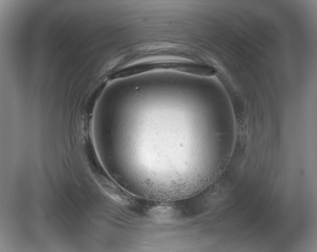 X0000080680119200612151233