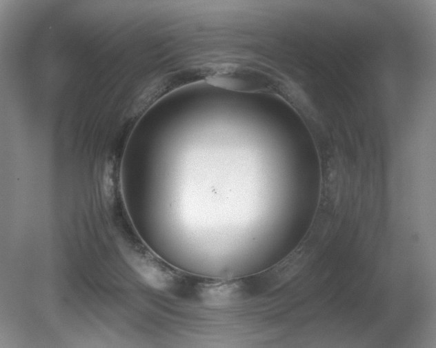 X0000080680122200612151233