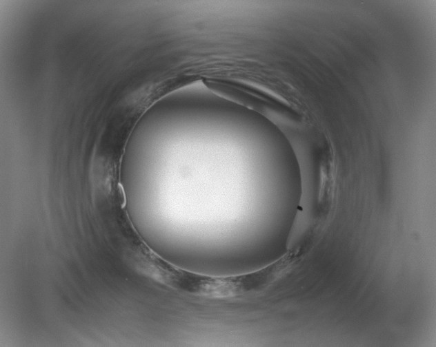 X0000080680125200612151233
