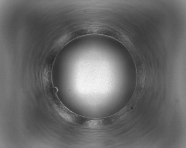 X0000080680126200612151233
