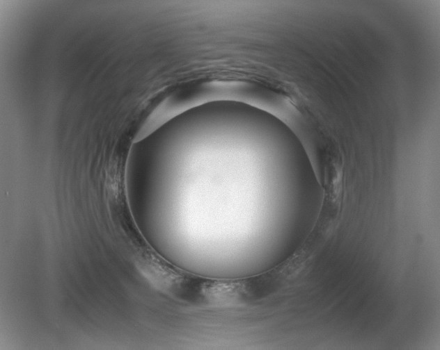 X0000080680129200612151233