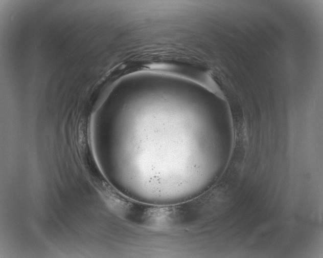 X0000080680131200612151233