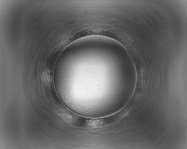 X0000080680135200612151233