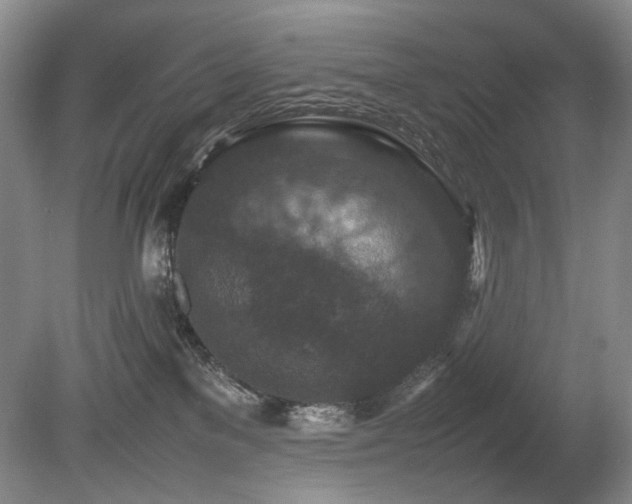 X0000080680137200612151233