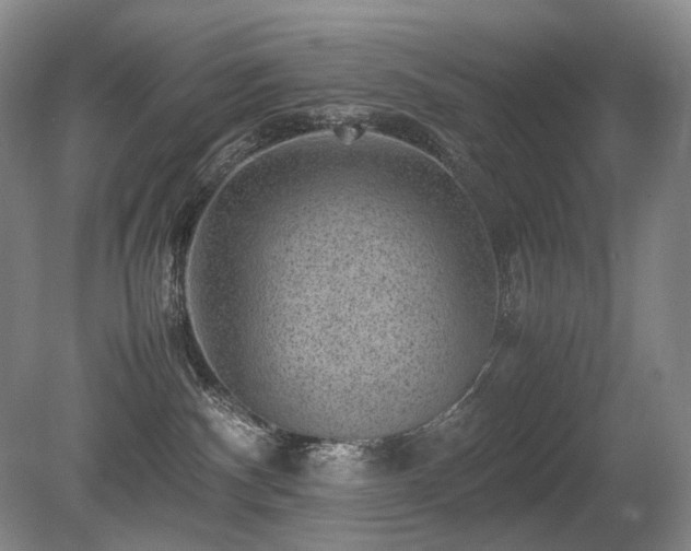 X0000080680140200612151232