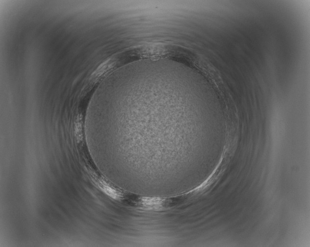 X0000080680144200612151232