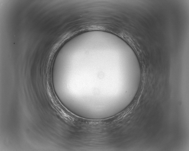X0000080680145200612151232
