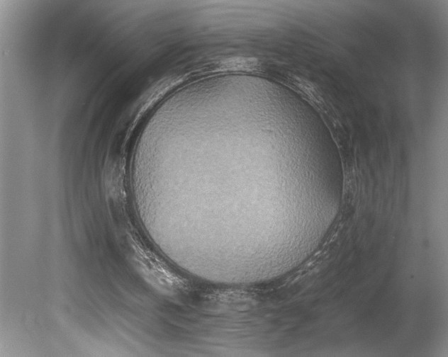 X0000080680146200612151232