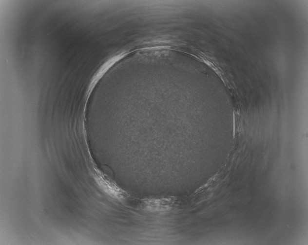 X0000080680147200612151232