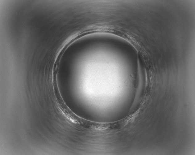 X0000080680148200612151232