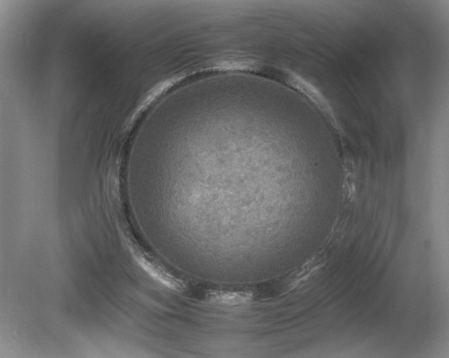 X0000080680155200612151232