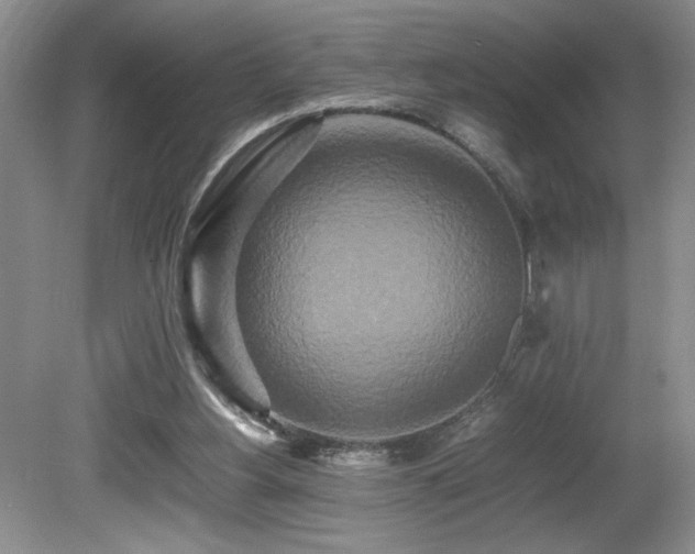 X0000080680156200612151232