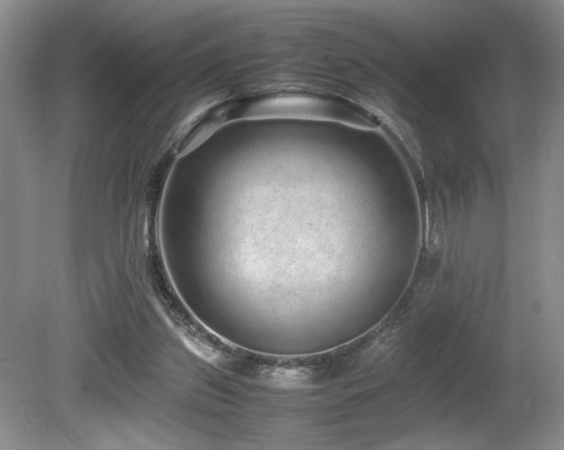 X0000080680157200612151232