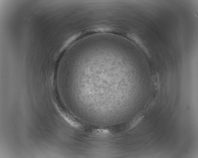 X0000080680159200612151232