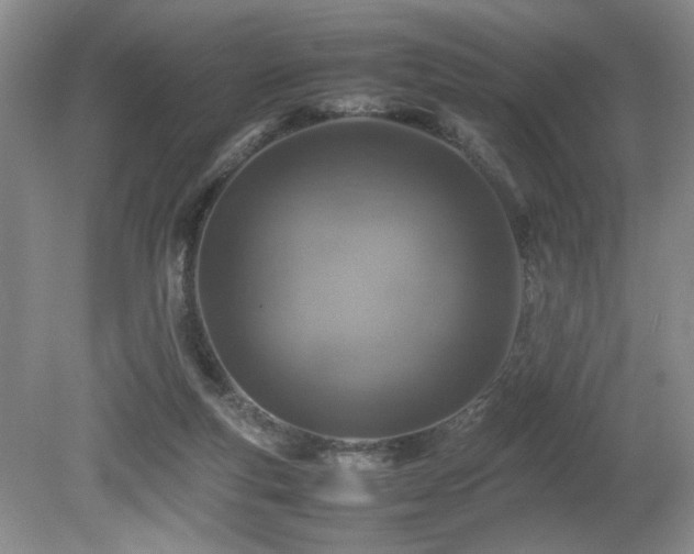 X0000080680163200612151232