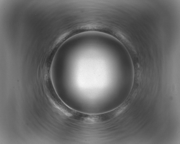 X0000080680164200612151232