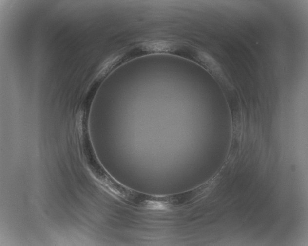 X0000080680167200612151232