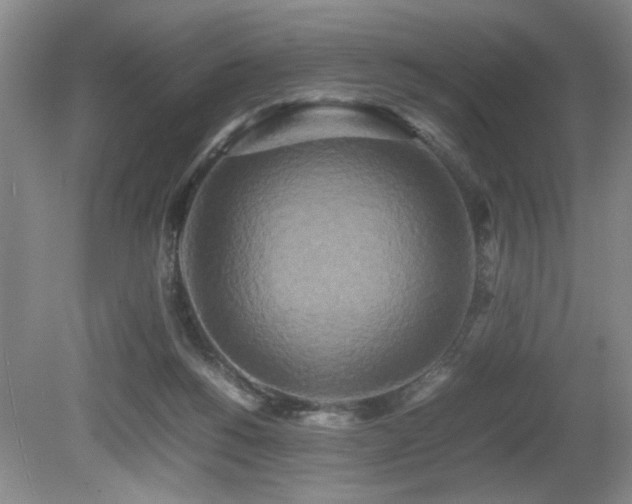 X0000080680168200612151232