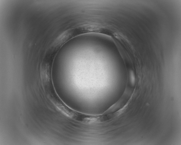 X0000080680170200612151232