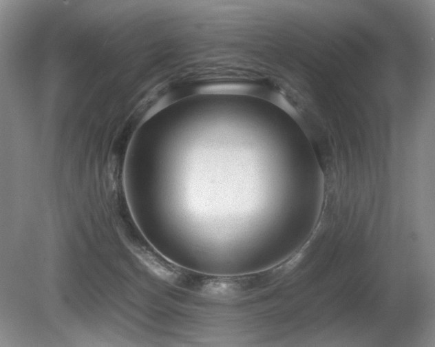 X0000080680174200612151232