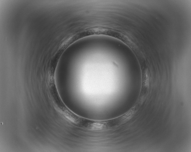 X0000080680176200612151232
