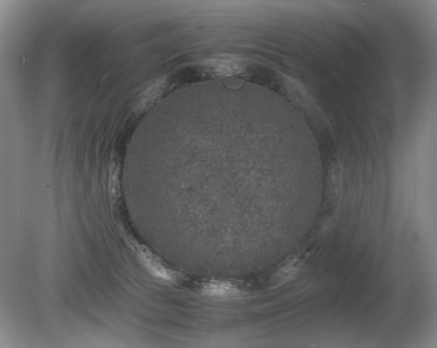 X0000080680177200612151232