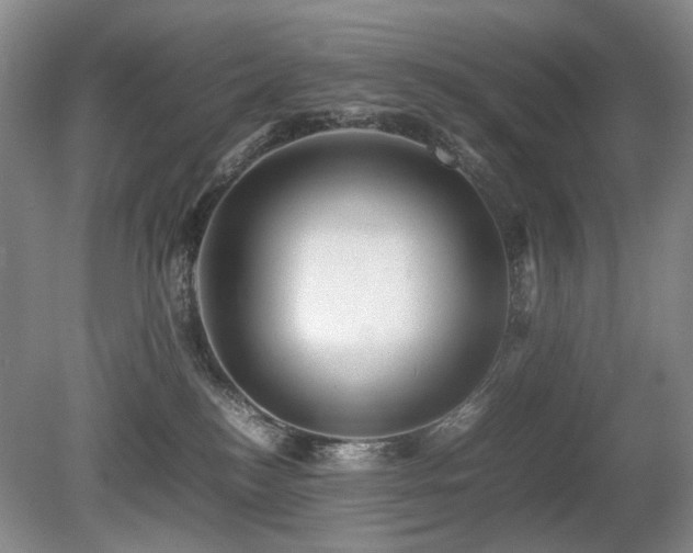 X0000080680184200612151232