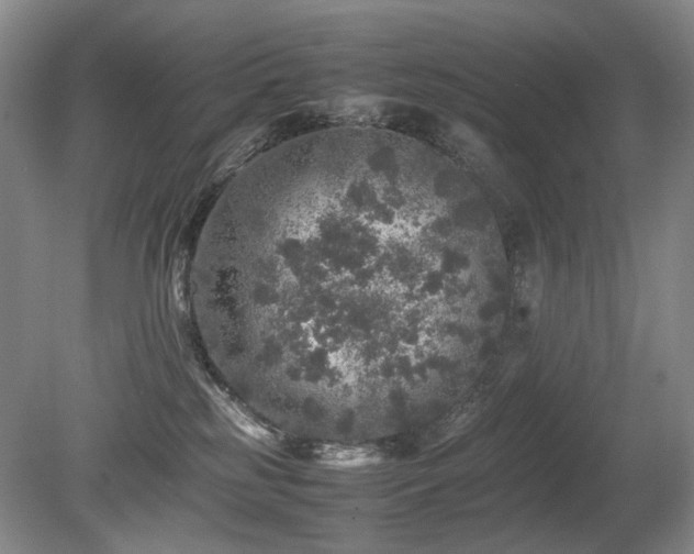 X0000080680185200612151232