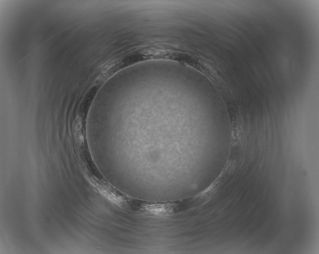 X0000080680187200612151232