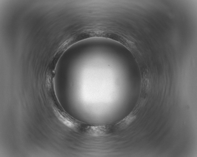 X0000080680188200612151232