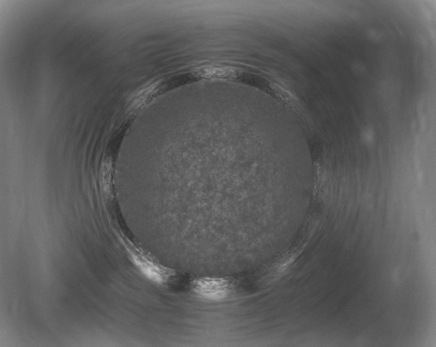 X0000080680189200612151232