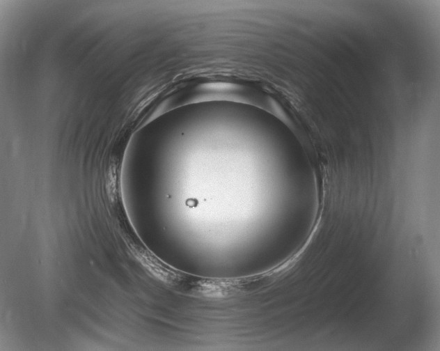 X0000080680190200612151232