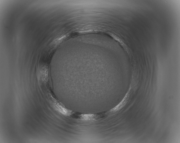 X0000080680192200612151232