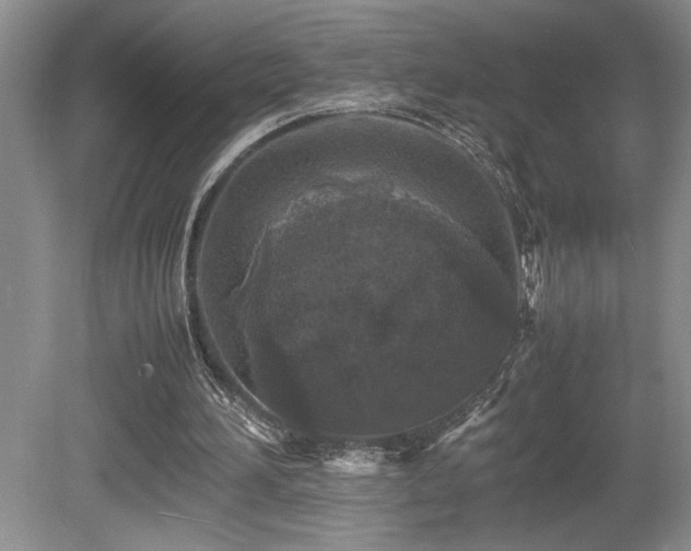 X0000080680196200612151232