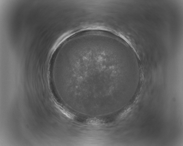 X0000080680199200612151231